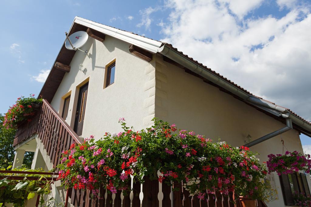 Apartment Ines Смолянац Екстериор снимка
